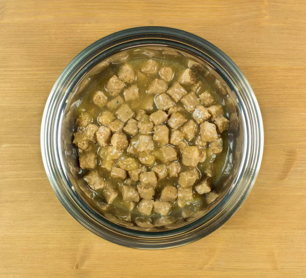 Salmonella Threat Forces Company to Recall Dog Food