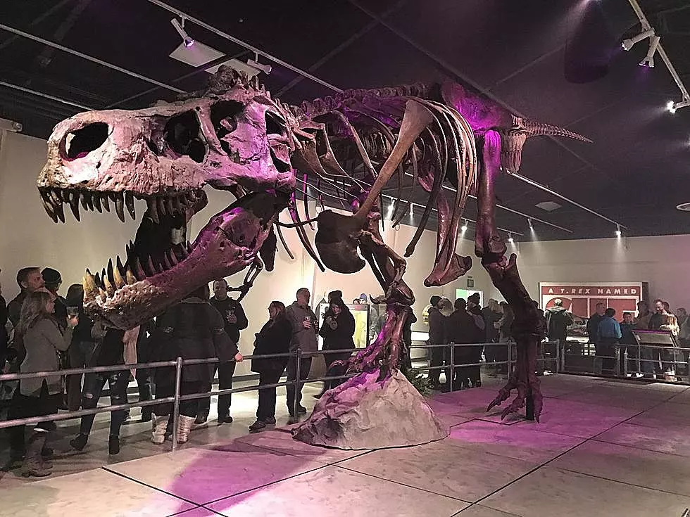 Discovery Center of Idaho to Get Permanent T-Rex Exhibit