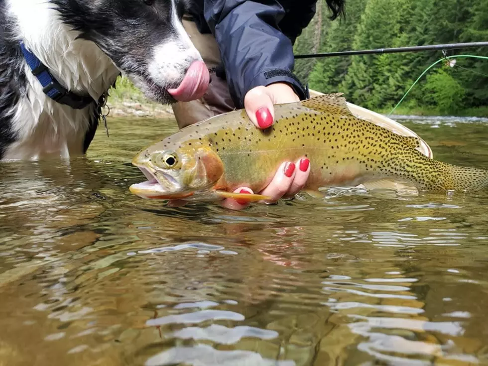 My First Time Fly Fishing the CDA River in North Idaho