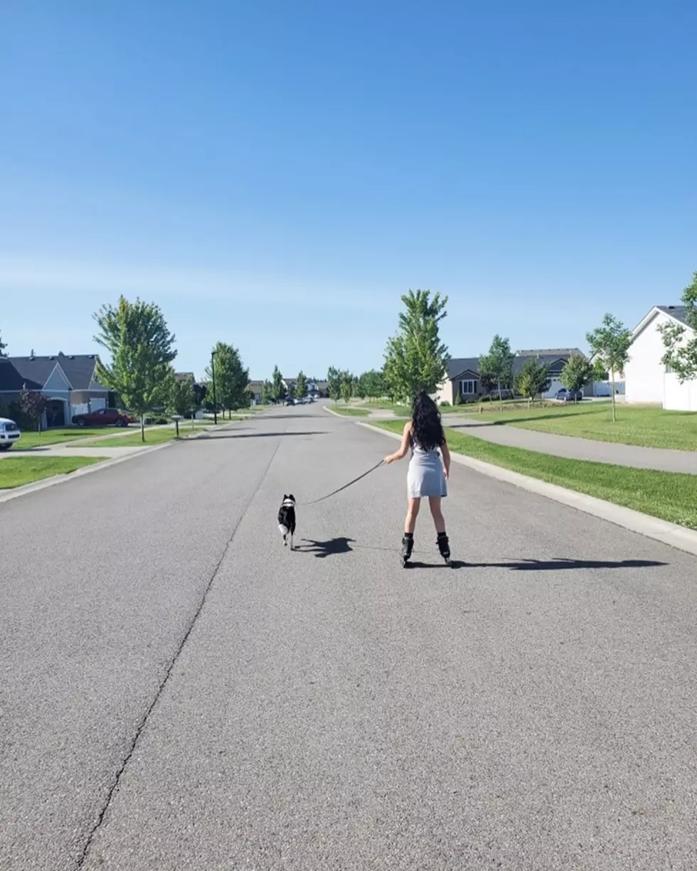 ‘Blading with a Dog, More or Less Difficult Then a Skateboard?
