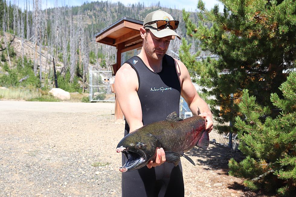 Chinook Salmon Season Starts in Idaho