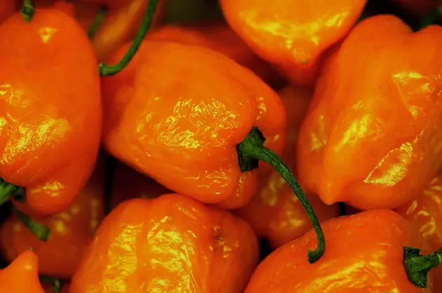 $250 Prize in Nampa Hot Pepper Eating Contest