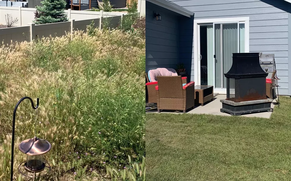 Backyard Before & After