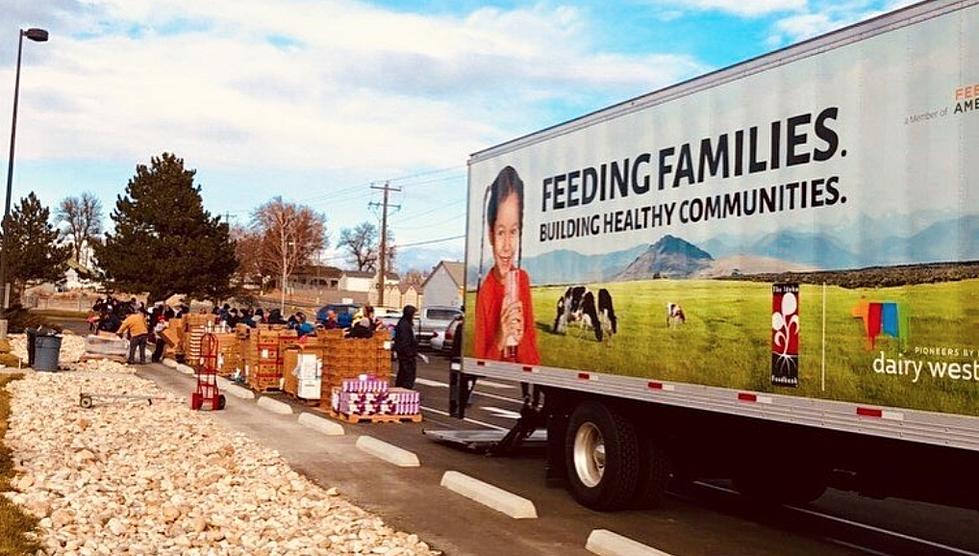 Idaho Food Bank Giving Away Free Protein, Dairy and Essentials Today