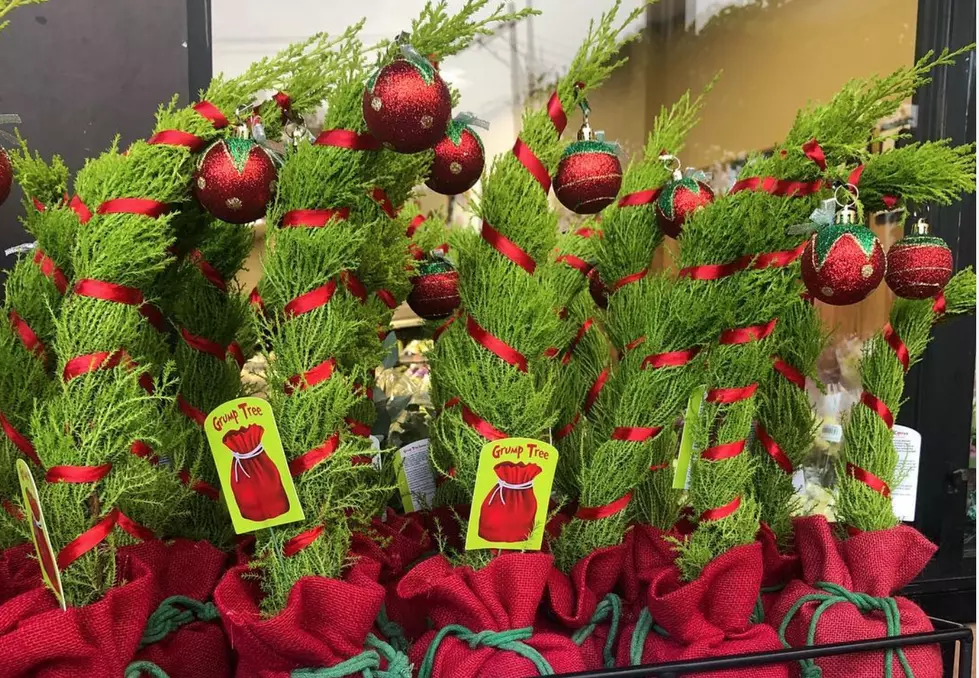 Trader Joe’s Launches 2020 Inspired Grinch Christmas Tree