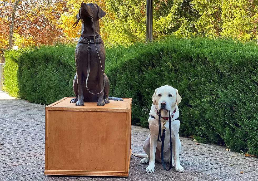 George H. W. Bush’s Former Service Dog, Sully, Honored With His Own Statue