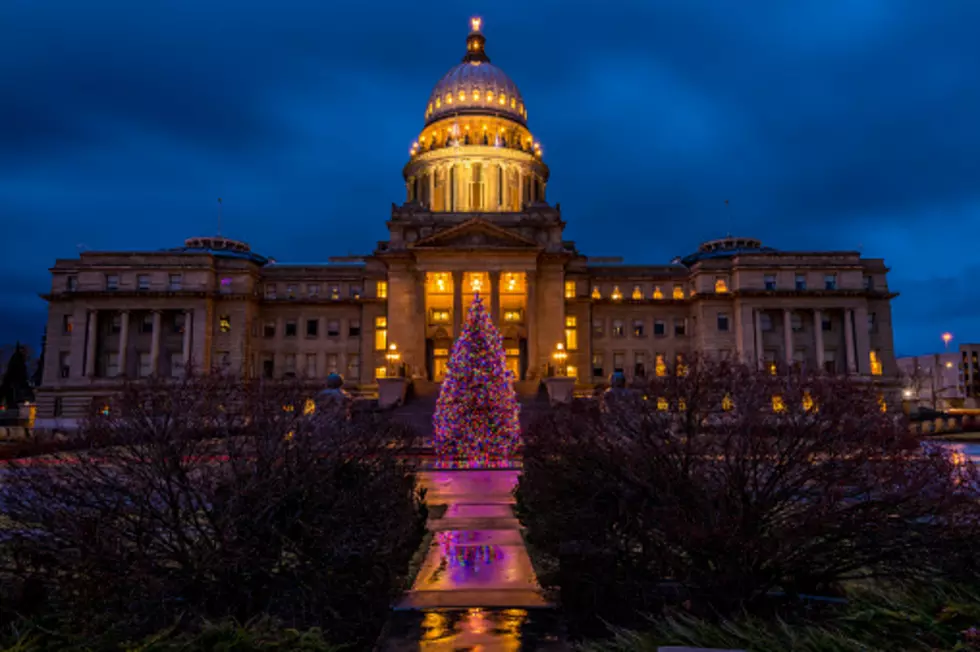 Capitol Christmas Tree Coming Monday