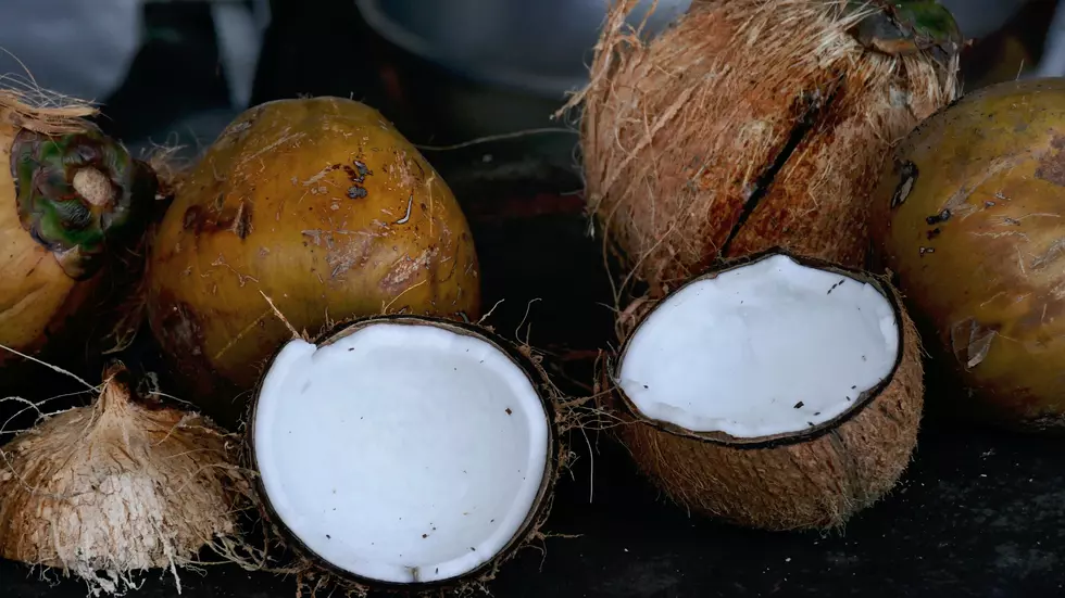 Albertsons Drops Coconut Milk Tied to Monkey Labor Following PETA Protests
