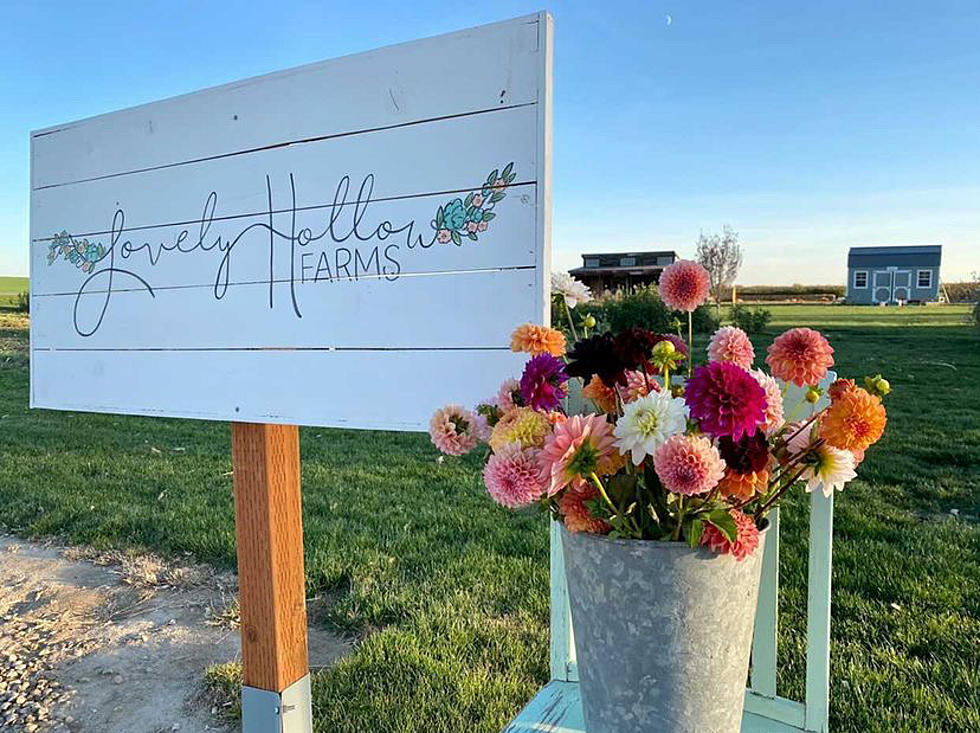 Lovely Hollow Farms Announces 2021 Opening Date