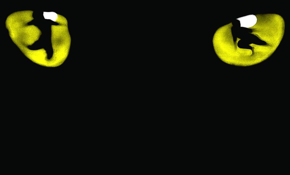 Broadway’s ‘Cats’ Is Coming To Boise’s Morrison Center Halloween Weekend