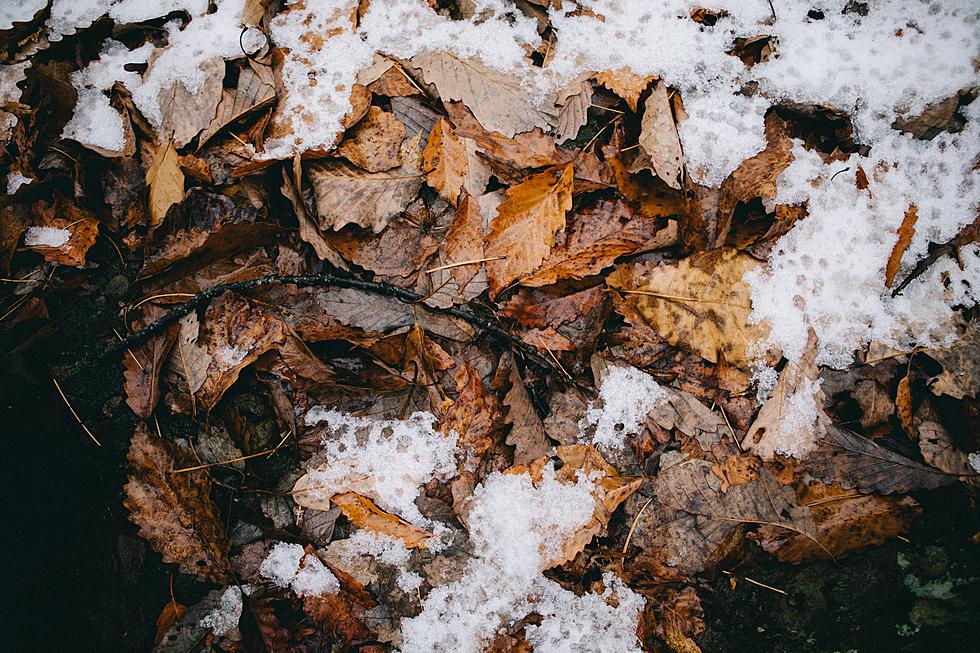 Boise’s First Fall Freeze Is Less Than A Month Away