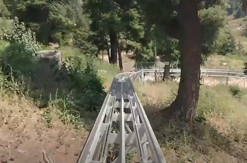 It’s The Perfect Time To Ride The Bogus Mountain Coaster