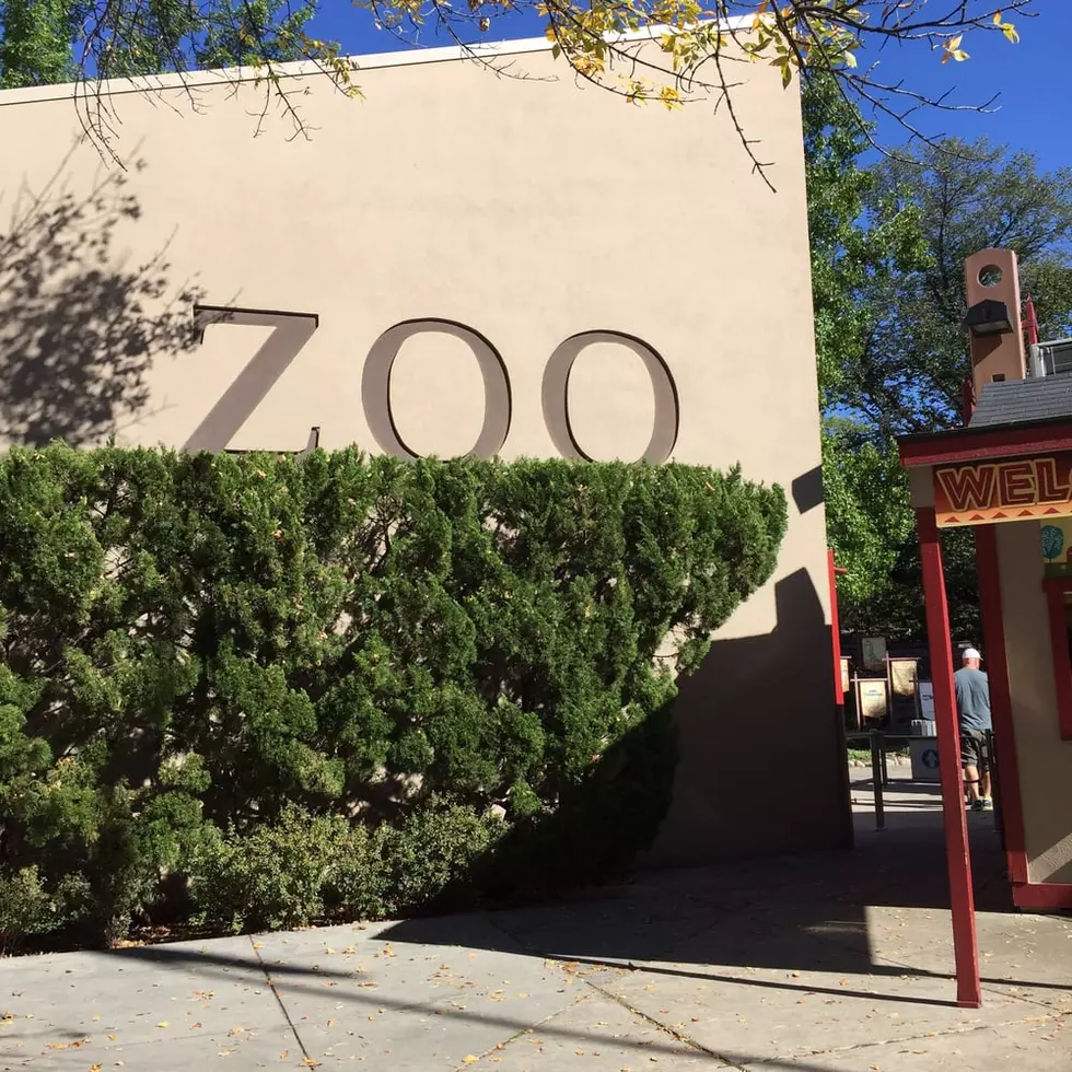 Zoo Boise Reveals Latest Addition Just in Time For Summer
