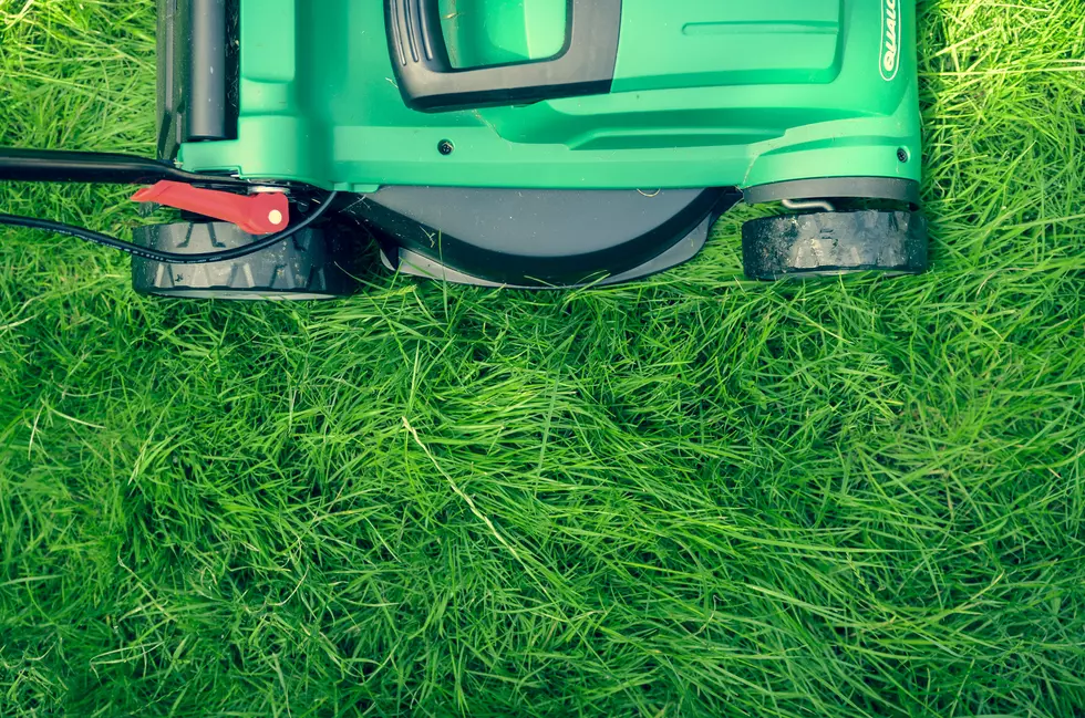 How To Get Fined For Mowing Your Yard In Boise