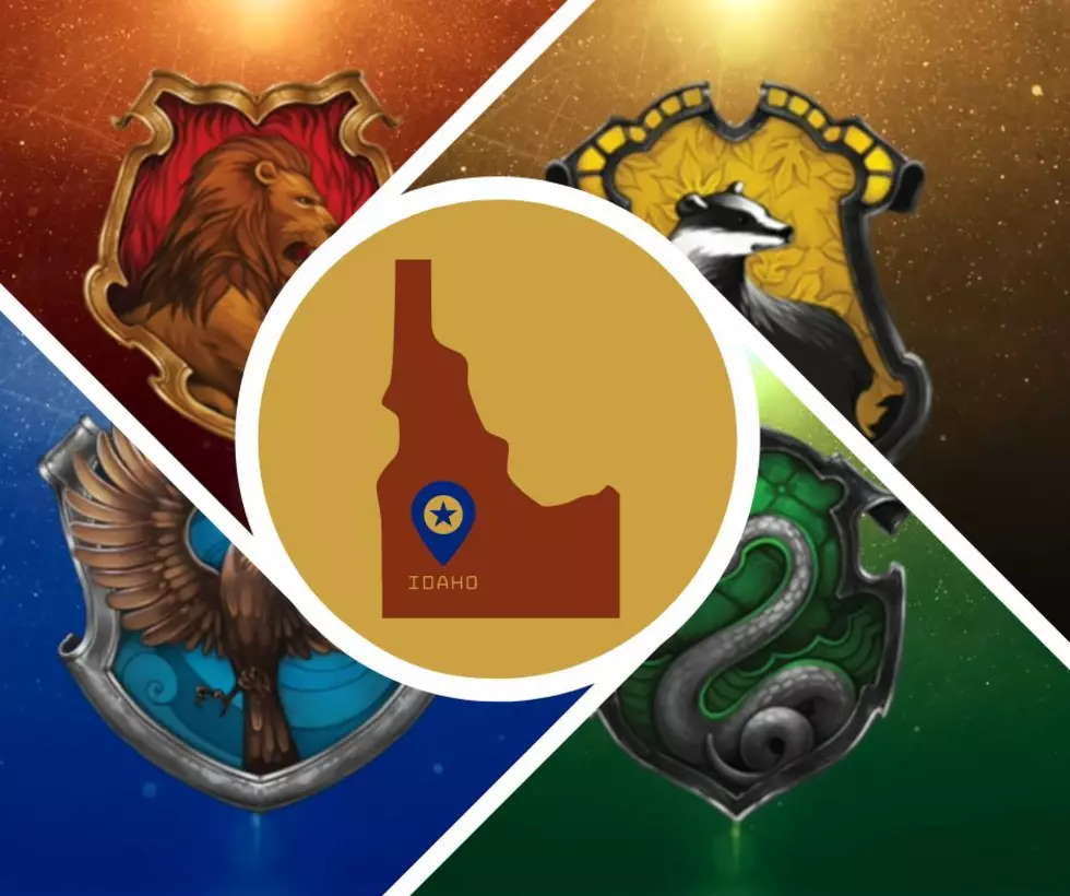Viral Post Sorted States Into Hogwarts Houses&#8211;Do We Agree With Idaho&#8217;s Placement?