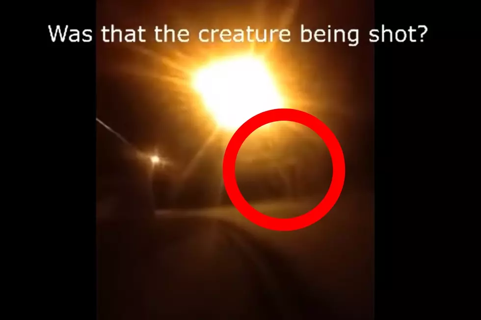 [DISTURBING CONTENT WARNING]: Video of Bigfoot in Oregon?