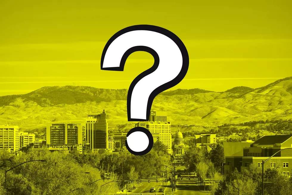 Who Employs The Most People in Boise?