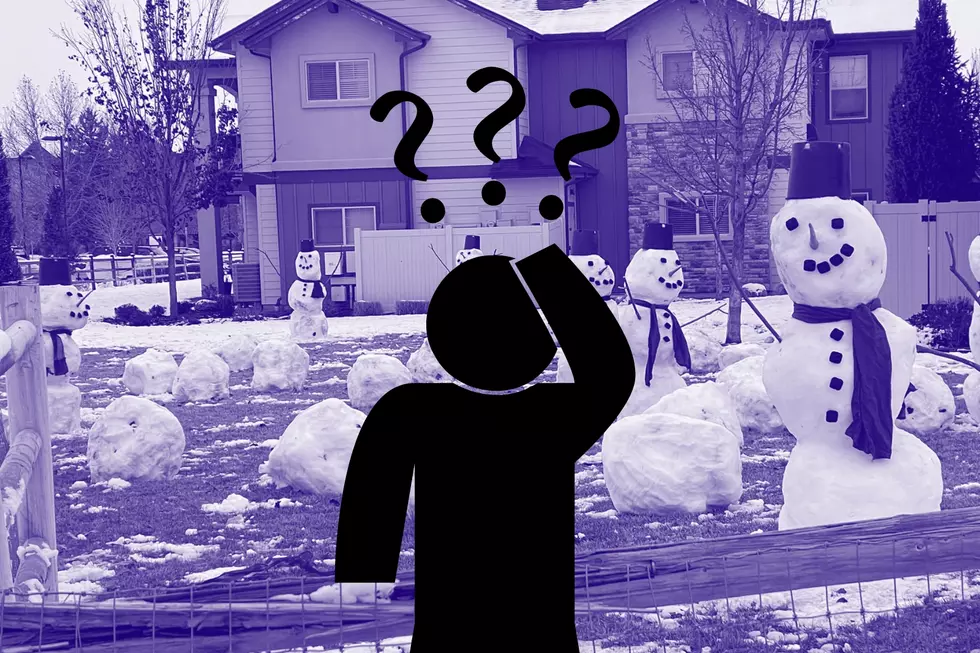 Is There Really A Business Delivering Snowmen in Boise?