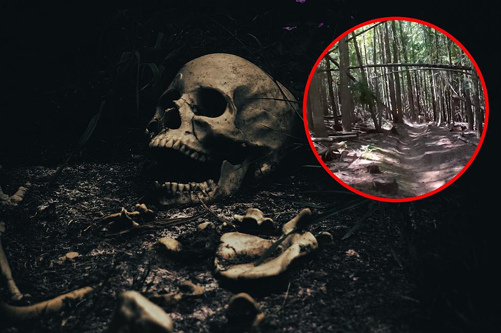 Could You Handle Hiking One Of Idaho’s Most Haunted Trails?