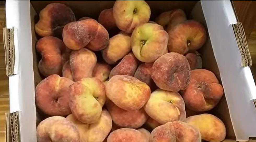 Have You Tried Idaho’s Strangest & Most Delicious Fruit?
