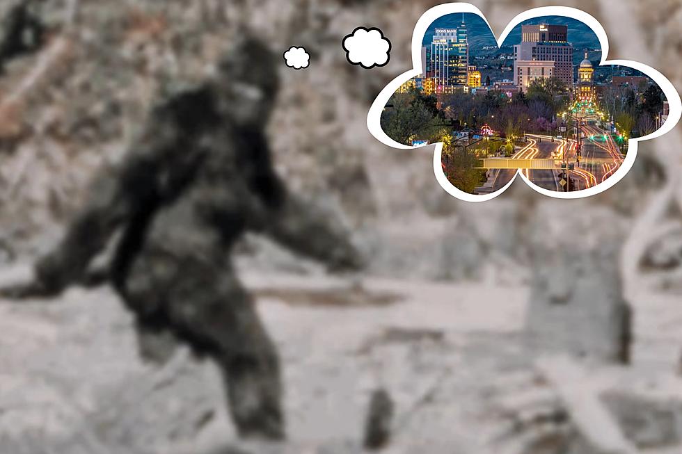 In Search Of Sasquatch: Is Idaho Bigfoot’s Favorite State?