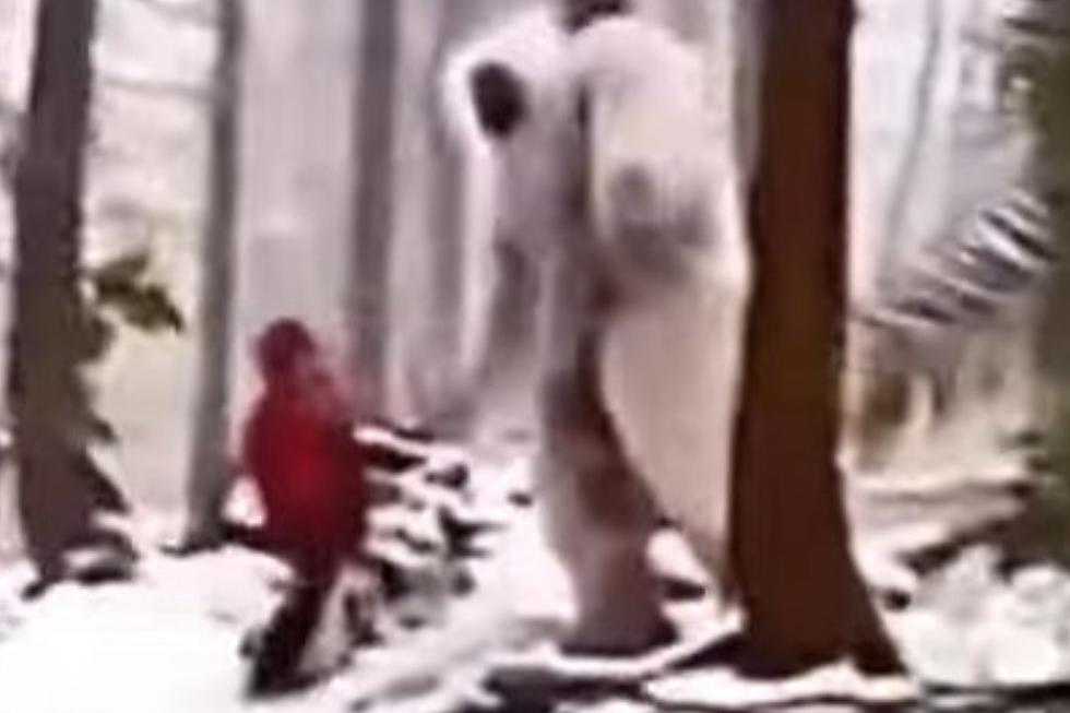 If This Bigfoot Video Happened In Idaho, It&#8217;s The Funniest EVER (WATCH)