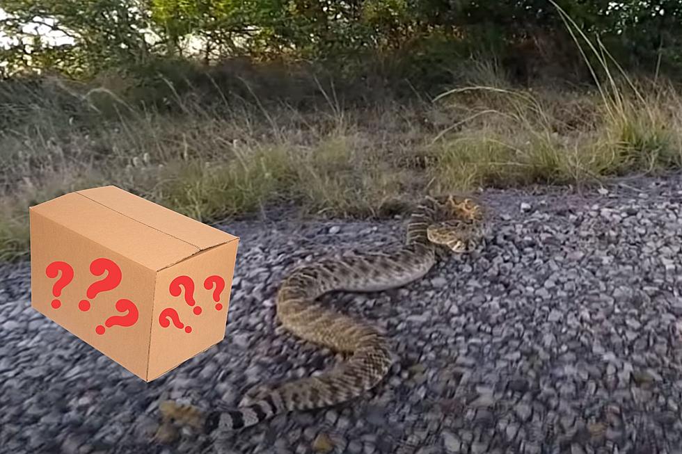 What’s Scarier Than a Rattlesnake in Idaho? THIS.