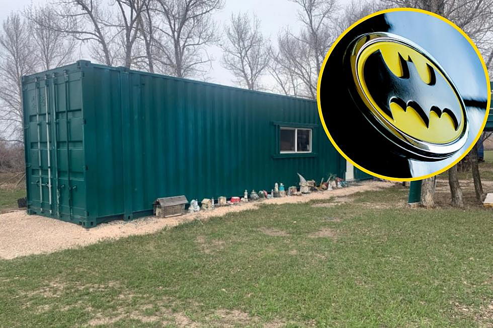 Idaho Cargo Container For Sale Has 2 Private Ponds & A Batman Treehouse