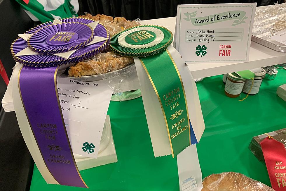 14 Winning Recipes to Bake from Canyon County Fair