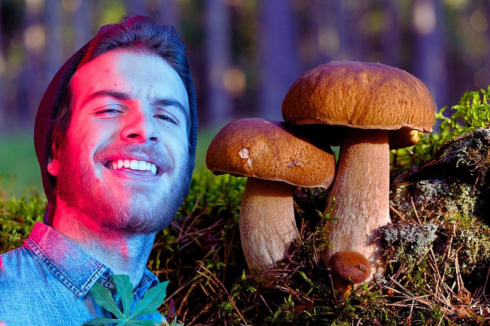 There’s a Totally Legal (But Dangerous) Way To Do Shrooms in Idaho
