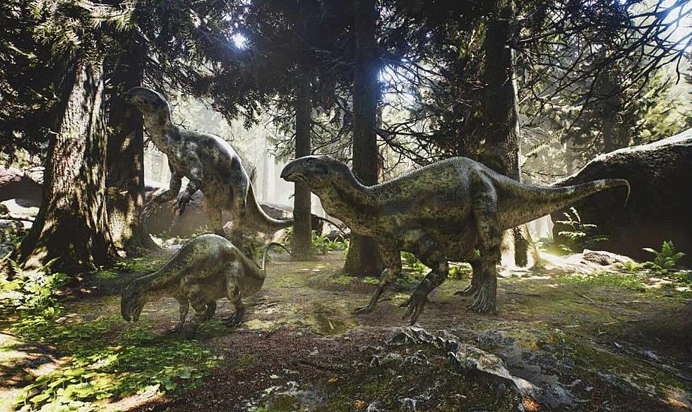 5 Dinosaurs That Once Roamed Prehistoric Idaho
