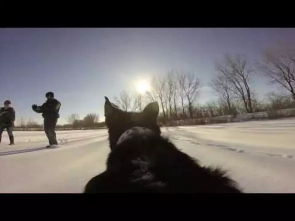 GoPro: Fetch – Winter Fun Through Piper’s Eyes! [VIDEO]