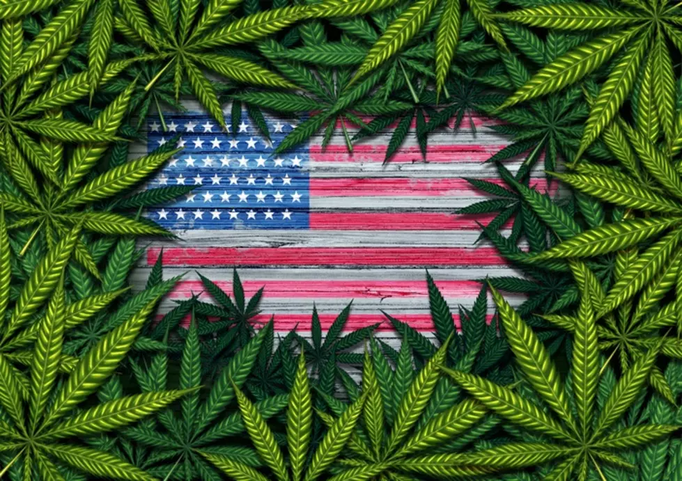 New Bill Would Legalize Marijuana Nationwide