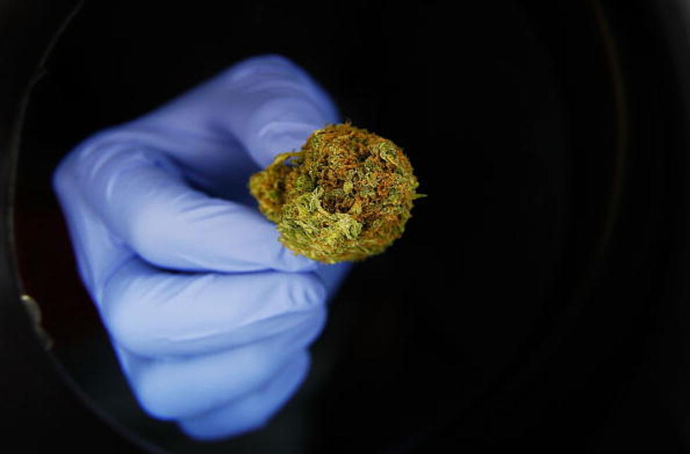Minnesota Medical Marijuana Will Include “Smokable” Marijuana