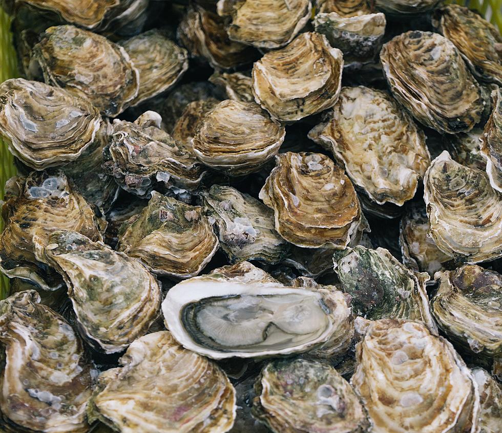 Another Reason Minnesotans Should Not Eat Oysters