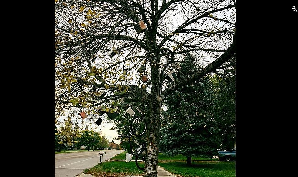 Here’s a MN Attraction You Probably Missed, The MN “Toaster Tree”