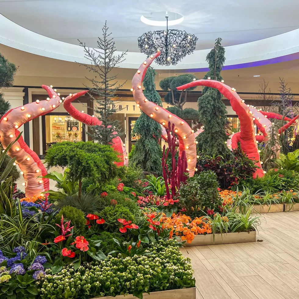 'The Sea' In Minnesota: Galleria's 'Into The Deep' Floral Show