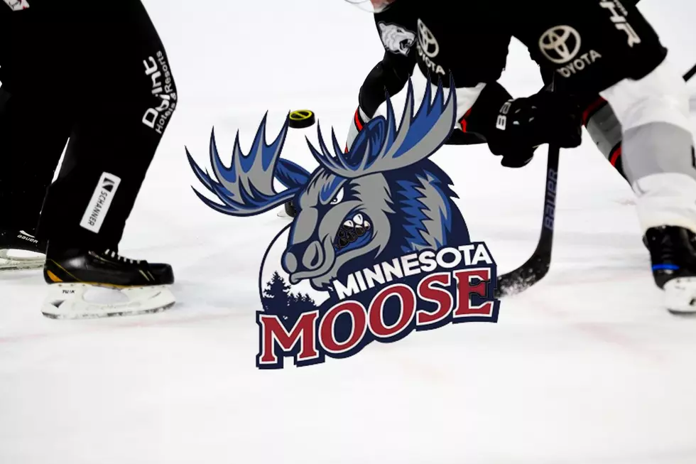 Puck Love: Minnesota is Getting a New Hockey Team