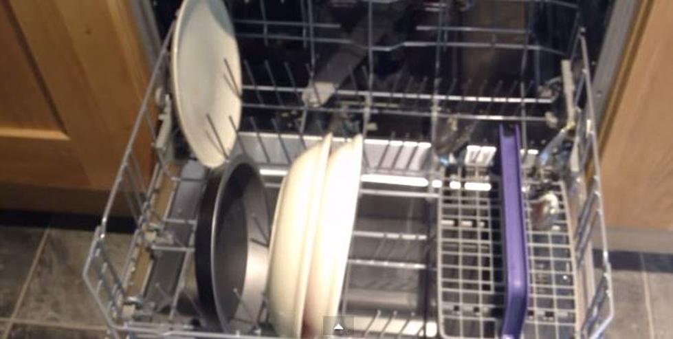 Dad To His Teenage Kids: “This, here, is a dishwasher.”