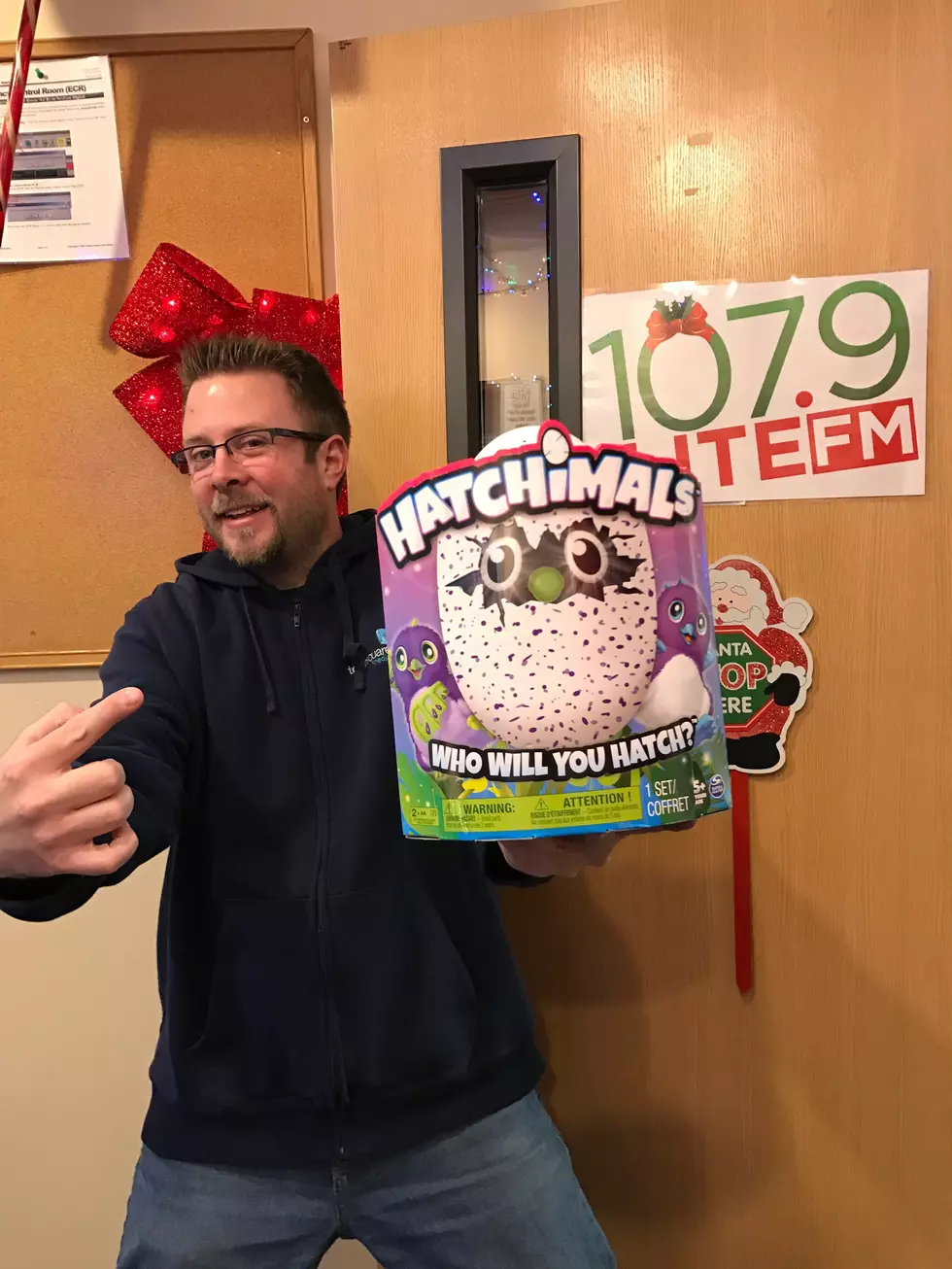 Do You Need A Hatchimal This Year?  You Can Get One And Help Christmas Wish At The Same Time