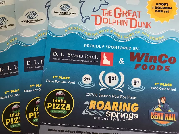 Win Your Great Dolphin Dunk Dolphin and Passes to Roaring Springs