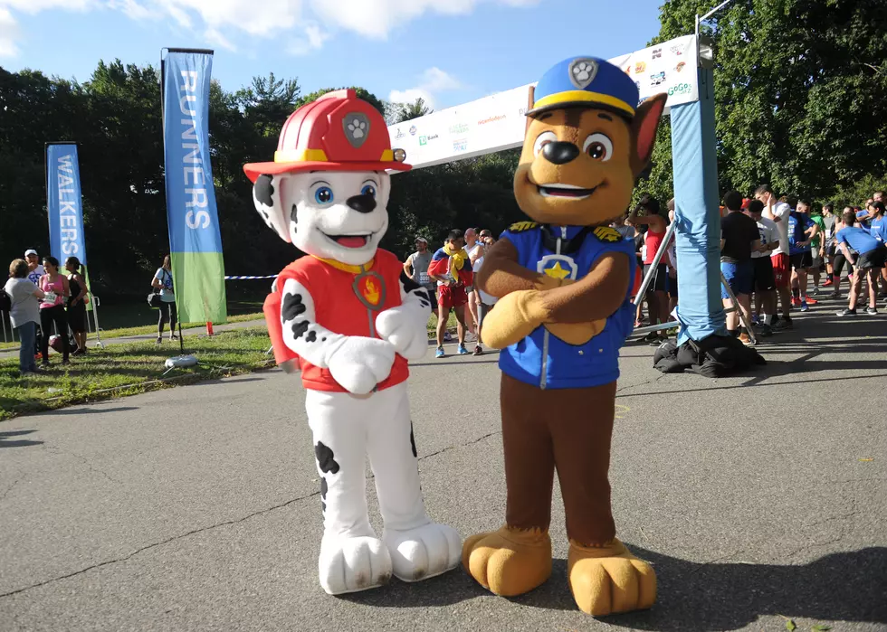 Win Front of the Line Passes to Meet Paw Patrol