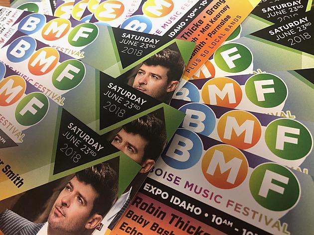 LITE VIPs, Score Your Family Freebie to Experience Boise Music Festival
