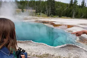 You Need A Vacation And Yellowstone Is Calling