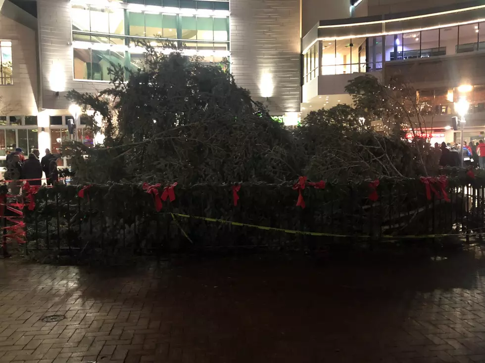 Downtown Boise Christmas Tree Lighting Rescheduled