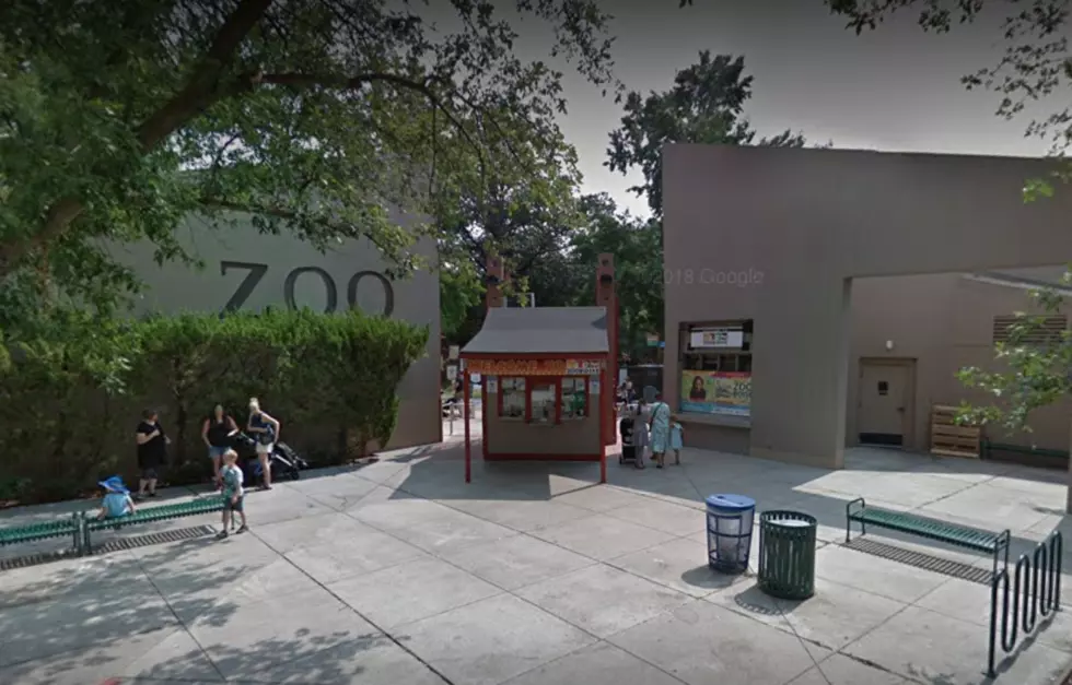 Am I The ONLY Person in Boise Who Didn’t Know This About Zoo Boise?