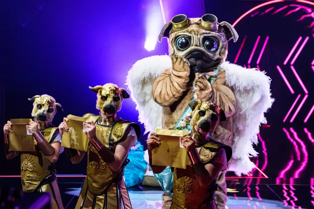 9 Local Celebrities That We Hope &#8216;Take It Off&#8217; When the Masked Singer Comes to Boise