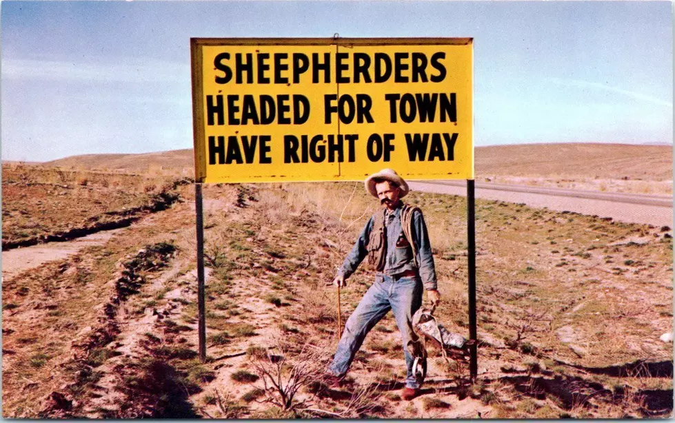 Hilarious Yellow Roadside Signs Are a Special Part of Idaho’s History