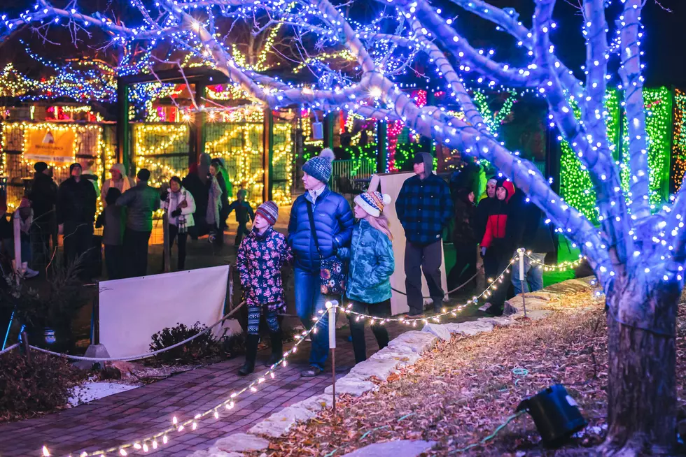 Everything You Need to Know About Boise’s Magnificent Winter Garden aGlow