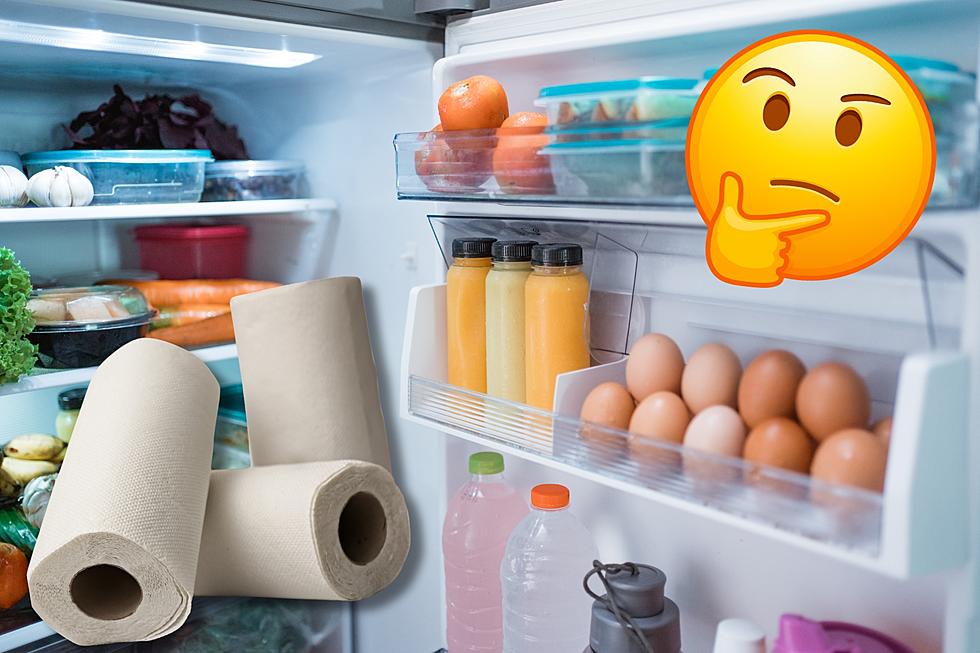 Why Every Idahoan Needs to Keep Paper Towels in Their Fridge